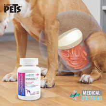 Cargar imagen en el visor de la galería, Carbodetox tabletas masticables para Perros C/60 Tab