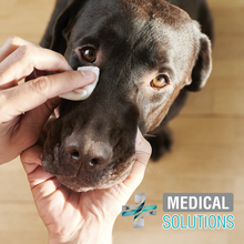 Cargar imagen en el visor de la galería, Toallitas limpiadoras para ojos Perros