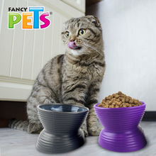 Cargar imagen en el visor de la galería, Set de 2 platos para Gato