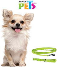 Cargar imagen en el visor de la galería, Correa y Collar Nylon con bandas reflejantes extra chica XCH