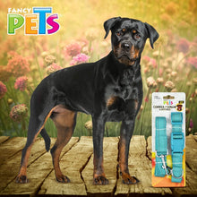 Cargar imagen en el visor de la galería, Correa y Collar Nylon con bandas reflejantes grande GDE