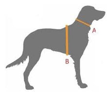 Cargar imagen en el visor de la galería, Pechera de piel para perro