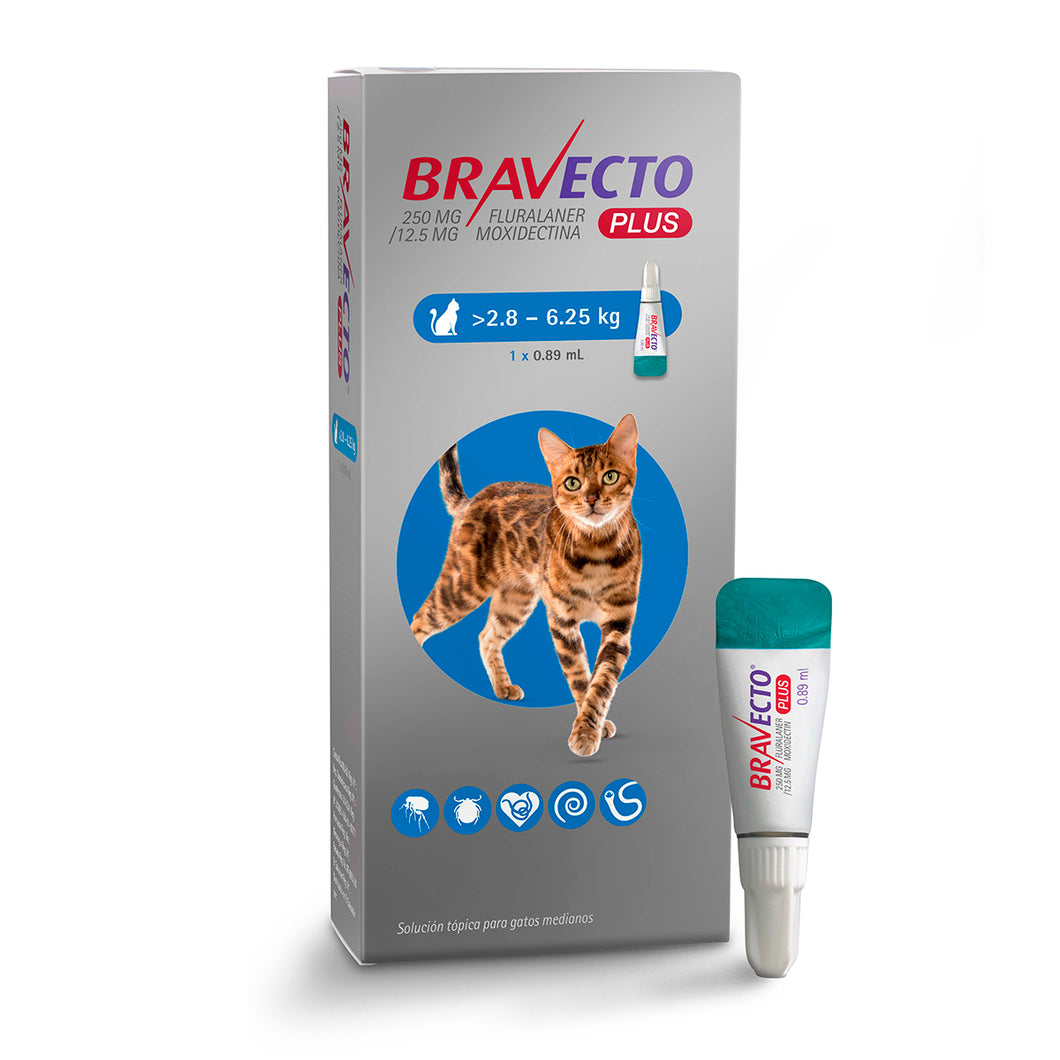 BRAVECTO PLUS GATO (2.8 a 6.25 Kg) - 1 Pipeta