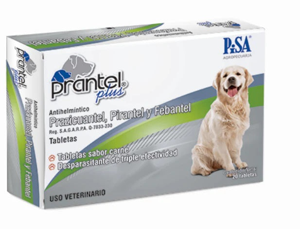 pueden los humanos tomar praziquantel para perros