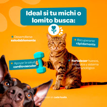 Cargar imagen en el visor de la galería, Growth Strong para Desarrollo 350 g (Perros y Gatos)