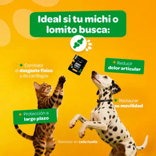 Cargar imagen en el visor de la galería, Joint Force Suplemento Articular en Polvo 350 g (Perros y Gatos)