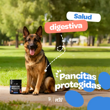 Cargar imagen en el visor de la galería, Digestive Prebiotics Suplemento de Prebióticos 350 g (Perros y Gatos)
