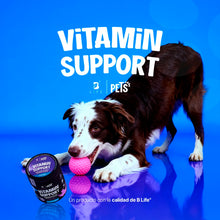 Cargar imagen en el visor de la galería, Vitamin Support Multivitamínico 350 g (Perros y Gatos)