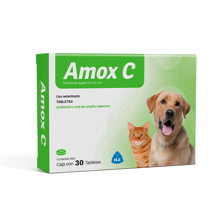Amox C con 30 tabletas